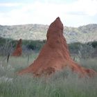 Termitenhügel in Namibia