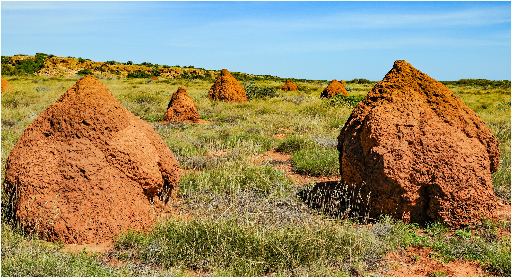 "Termitenhügel" - Westaustralien, 2008