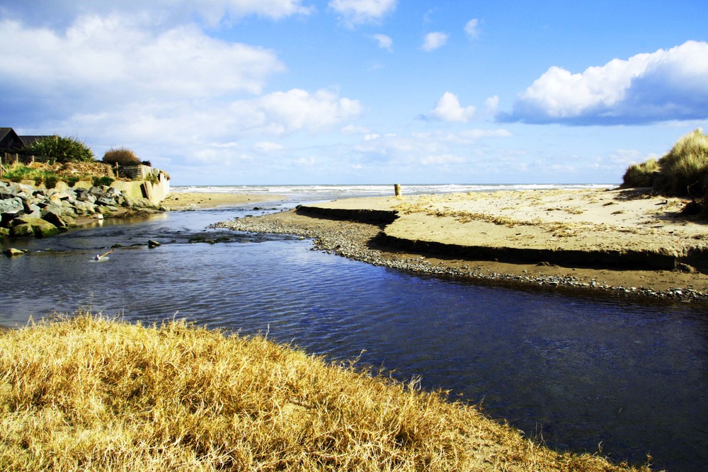 Termonfeckin beach