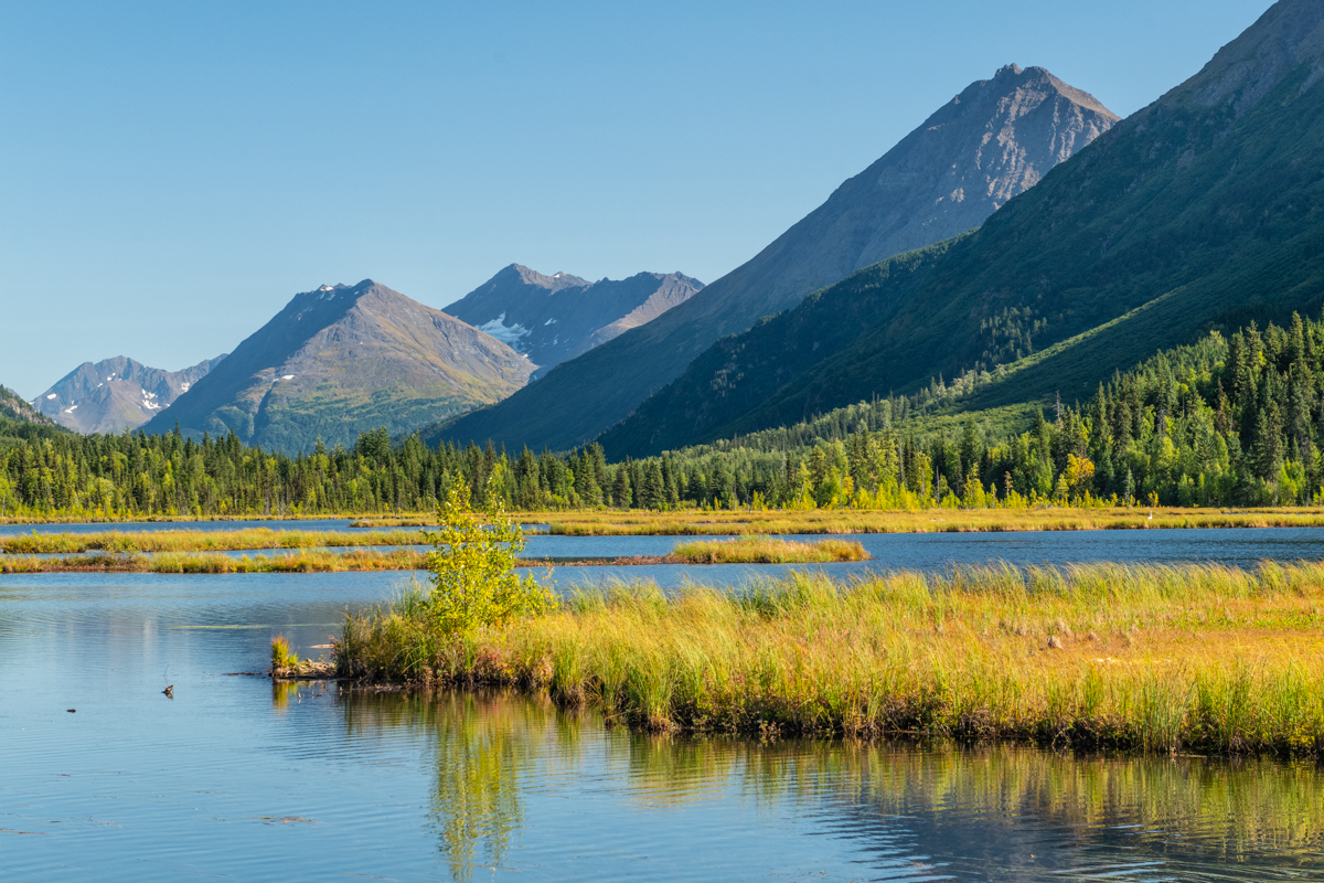 Tern Lake