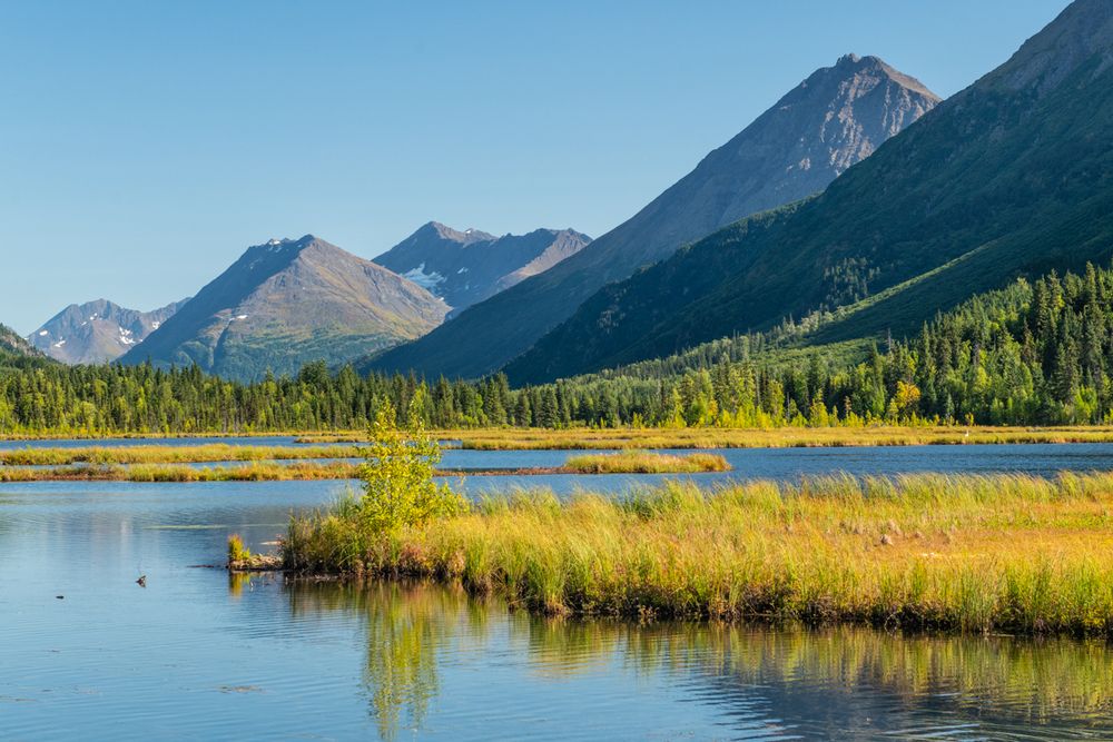 Tern Lake