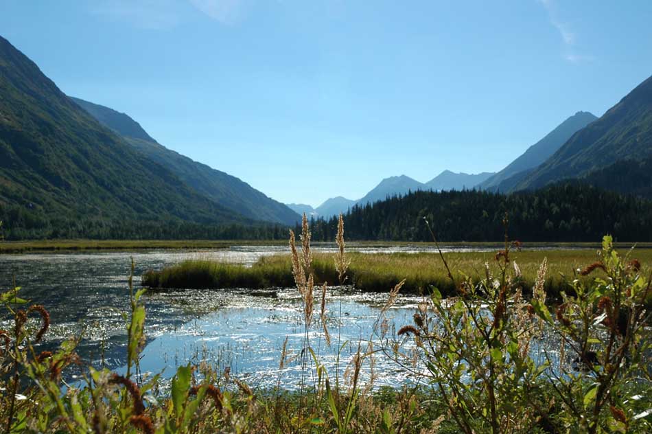 Tern Lake