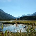 Tern Lake