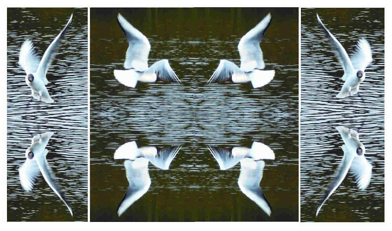 Tern turn around