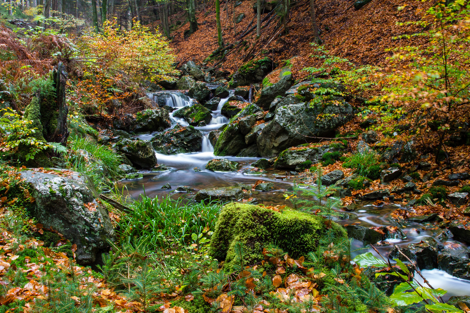 Ternellbach im Regen 1