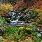 Ternellbach im Regen 1