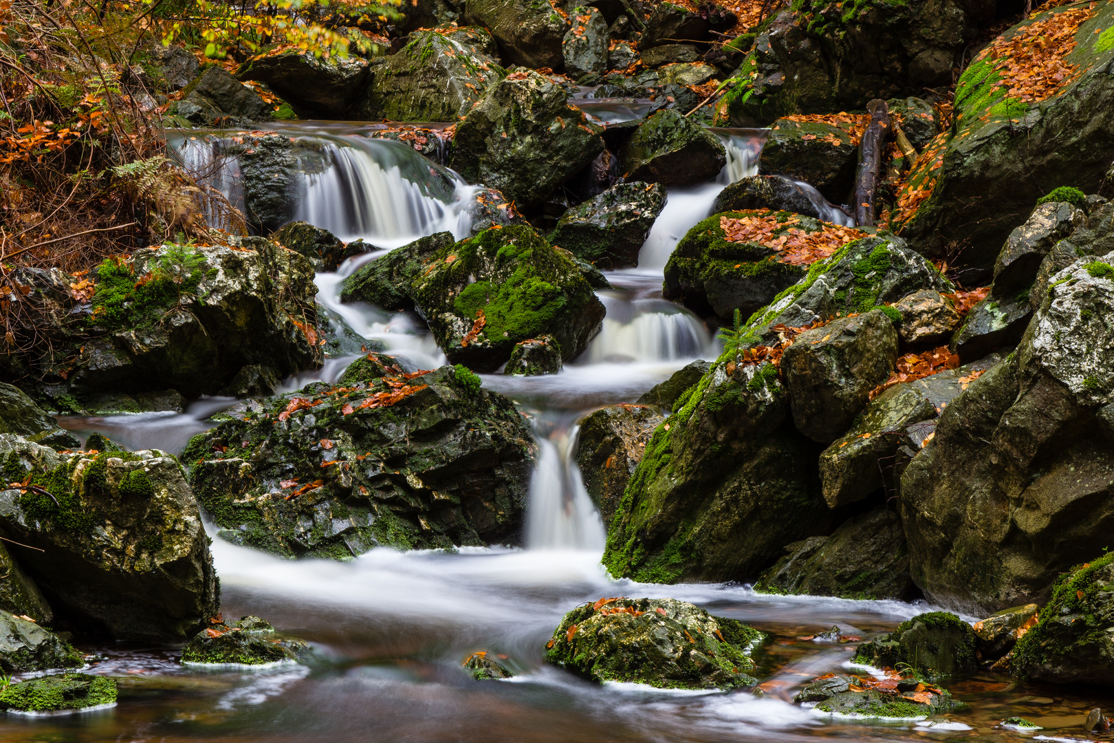 Ternellbach im Regen 2