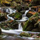 Ternellbach im Regen 2