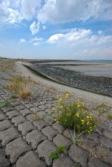 Terneuzen - Westerschelde - 02