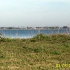 Teros. hermoso chascomus