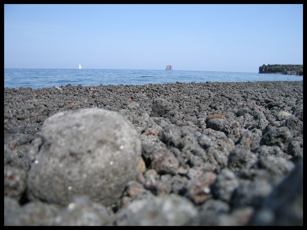 Terra di Salvo Tomei 