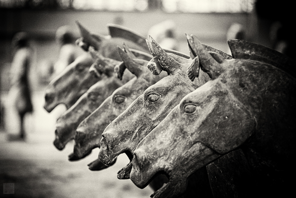 Terra Cotta [Warriors] and Horses (Xi'an)