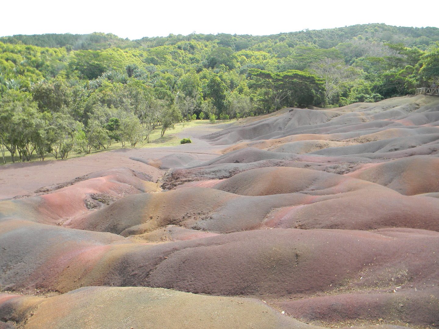 Terra Dei Sette Colori Mauritius