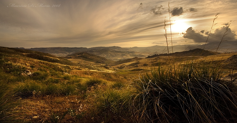 Terra Del Sole