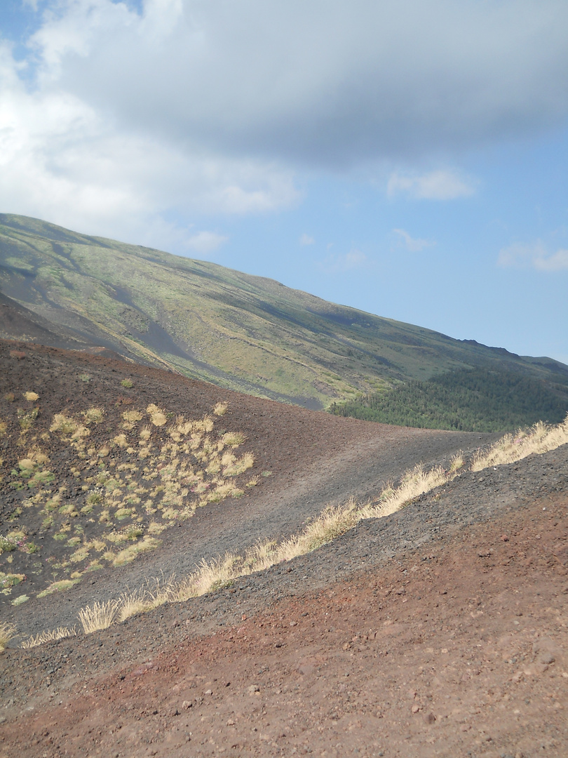 terra dell'etna