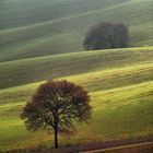 terra di monsampolo al' invierno