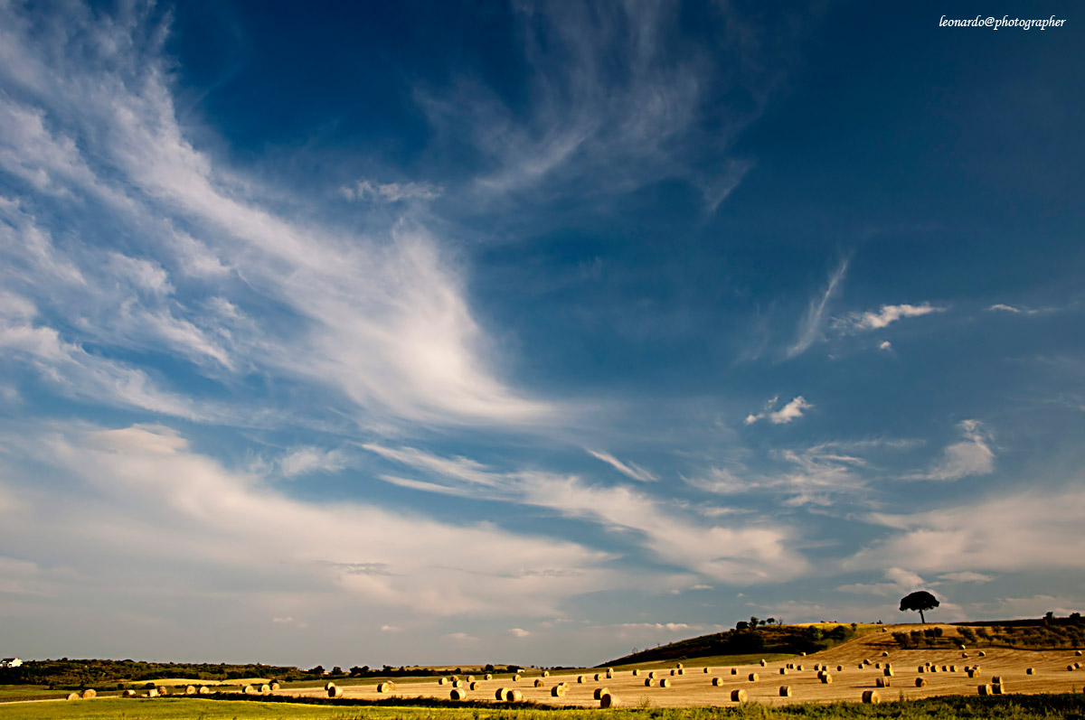 terra di puglia