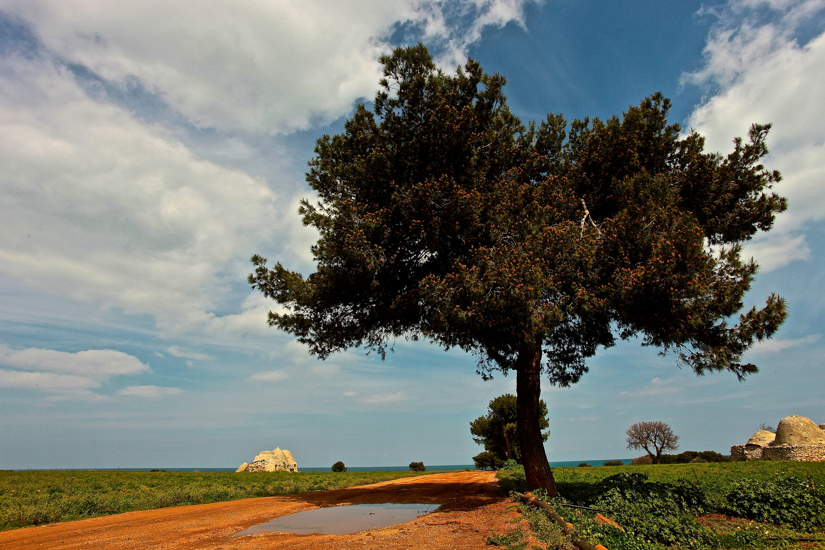 Terra di Puglia