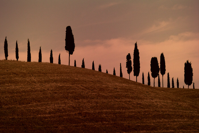 terra di senesi