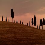 terra di senesi