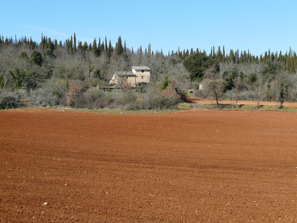 Terra di Siena