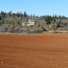 Terra di Siena