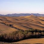 terra di Siena al tramonto