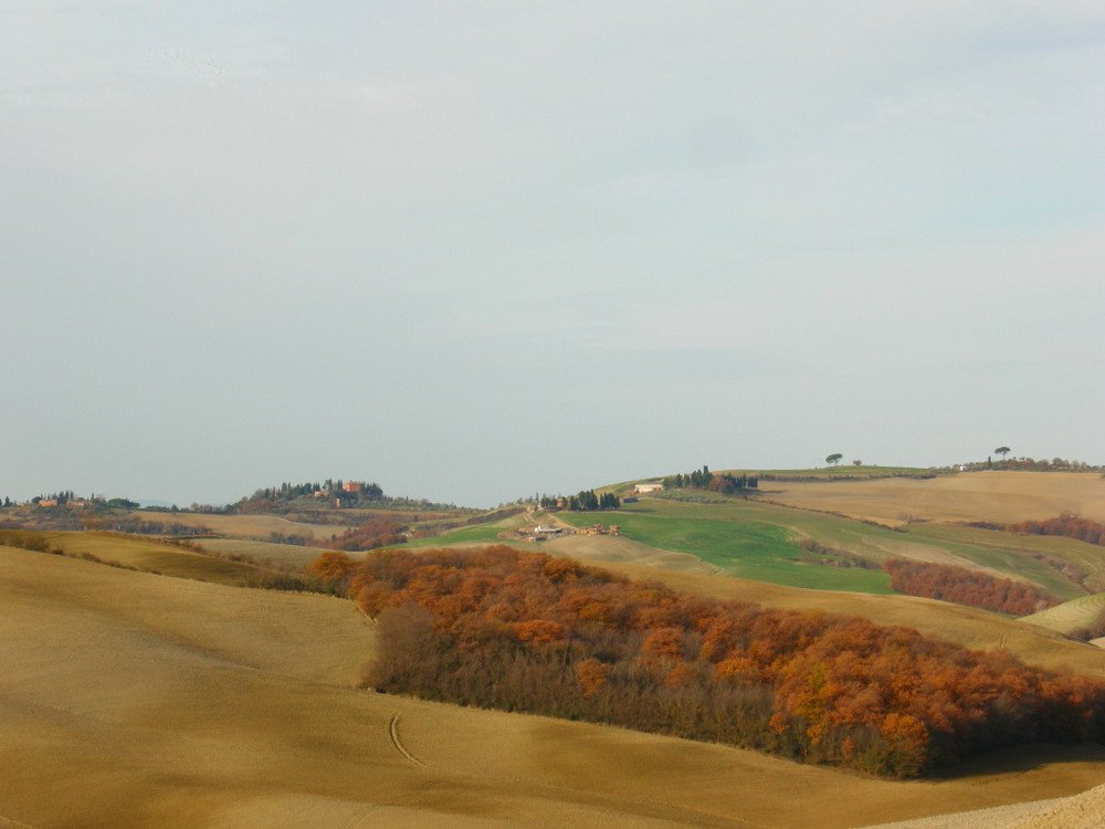 terra di siena