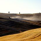 terra di toscana