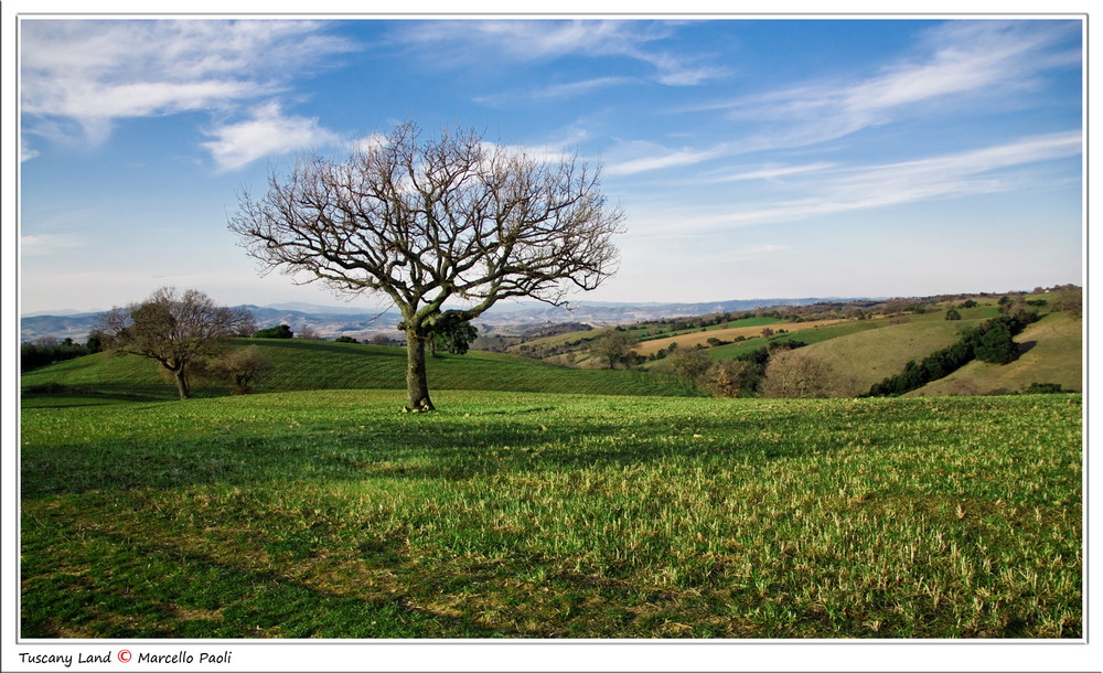 Terra di Toscana