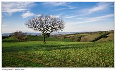 Terra di Toscana