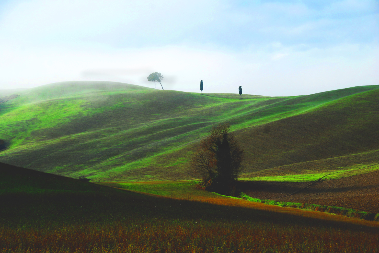 TERRA DI TOSCANA