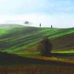 TERRA DI TOSCANA