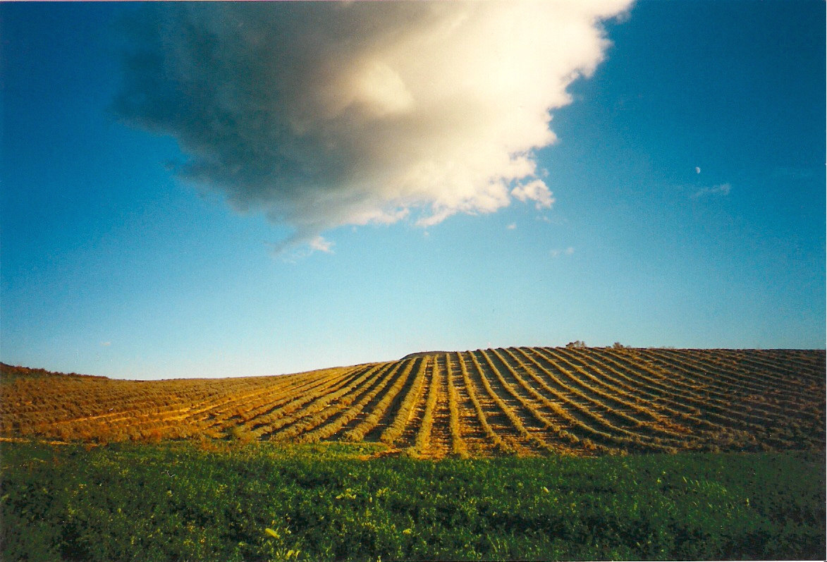 terra e cielo....contro