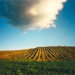 terra e cielo....contro