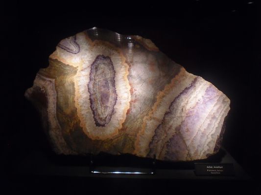 *Terra Mineralia in Freiberg*