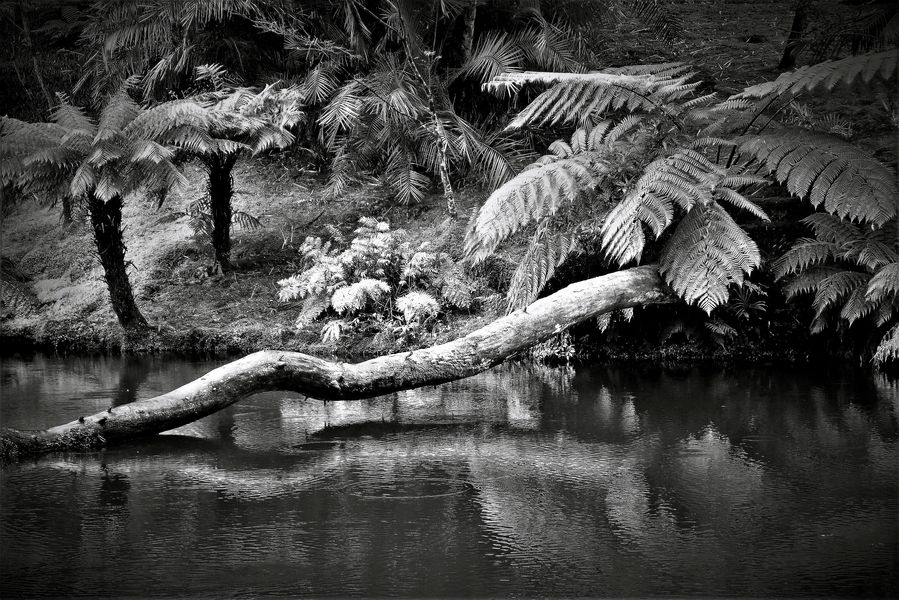 Terra Nostra Park