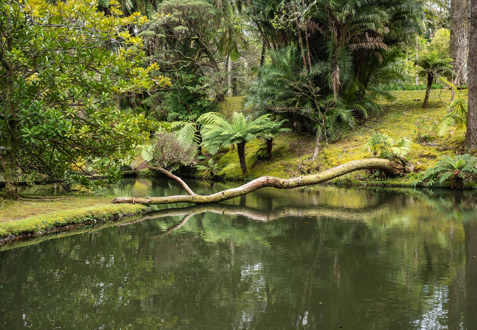 Terra Nostra Park