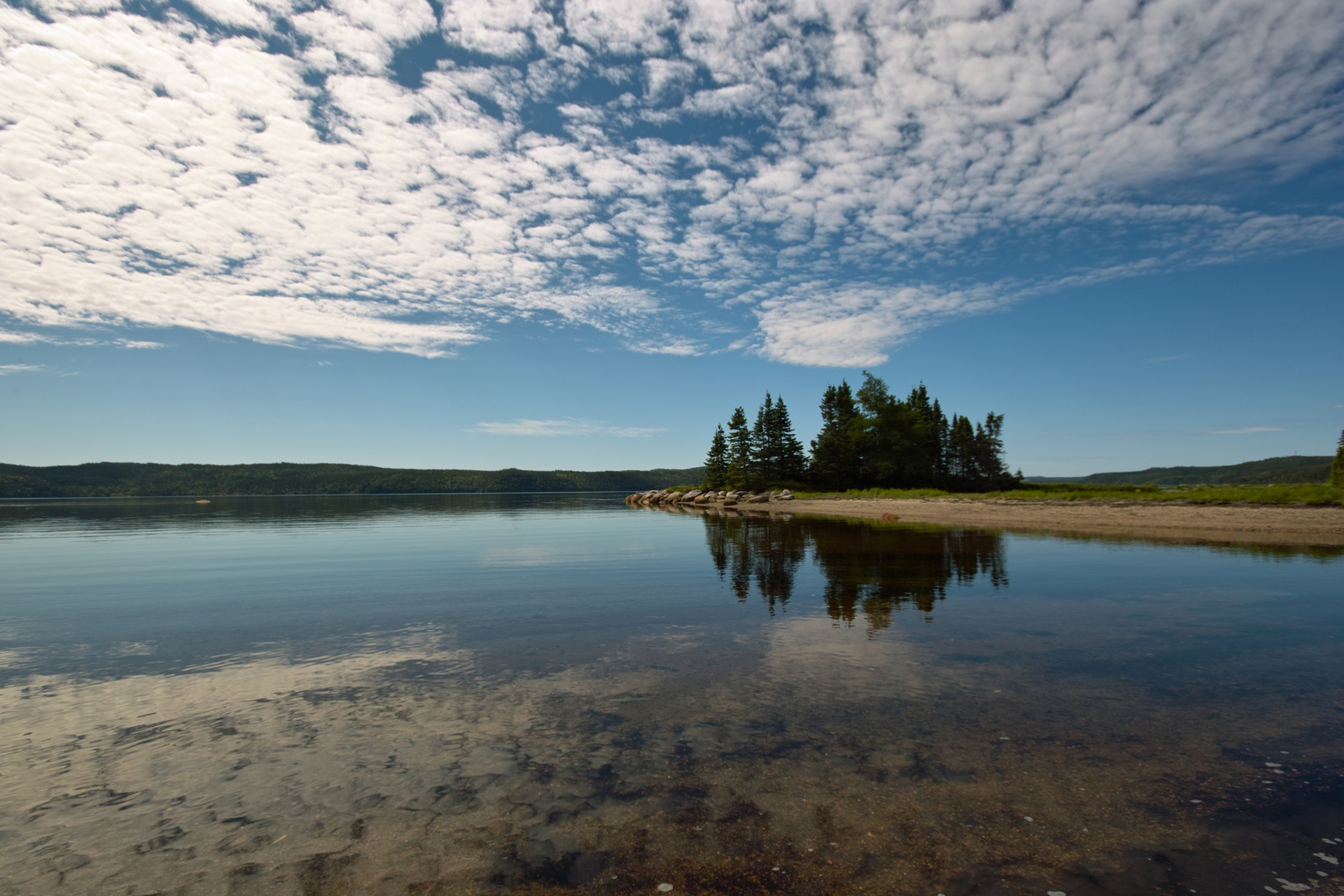 Terra Nova Park - Newman Sound