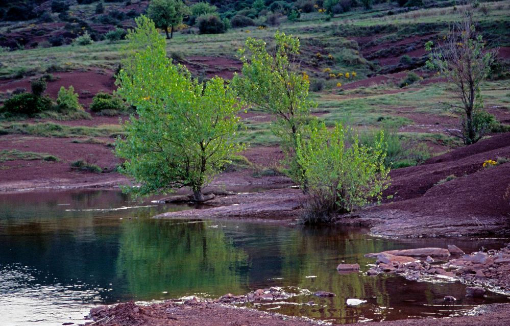 "Terra Rossa"