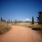 Terra rossa di Siena