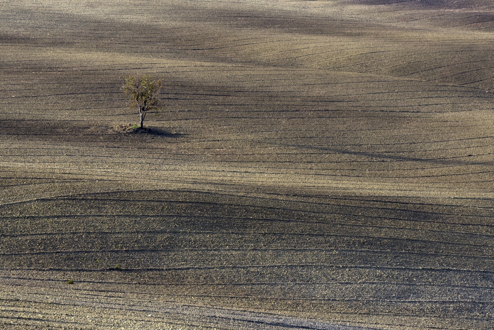 terra toscana