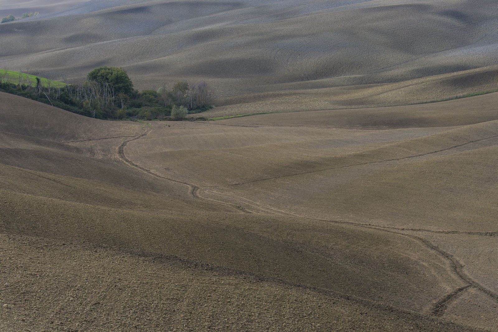 terra toscana