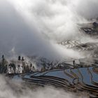 Terraced Fields at Dawn