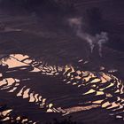 Terraced Fields at Dusk