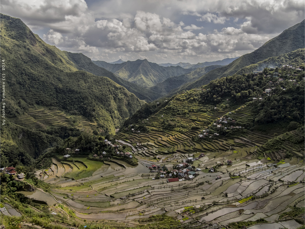 Terraced hilltop in ifugao Province, Philippines