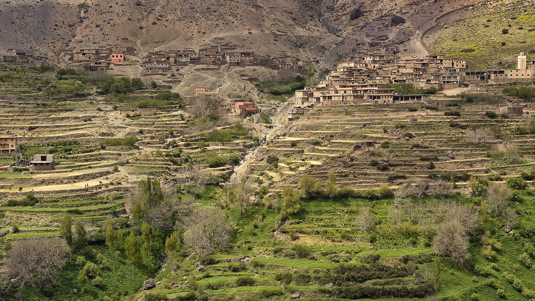 Terraces