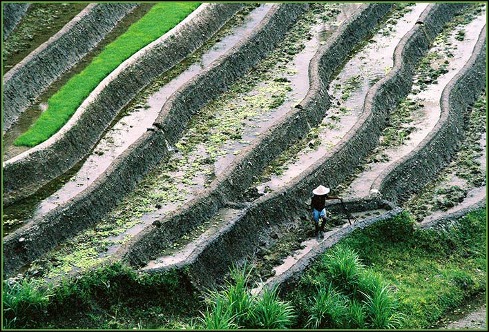 Terraces