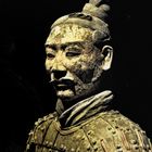 terracotta warrior