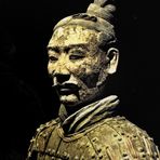 terracotta warrior